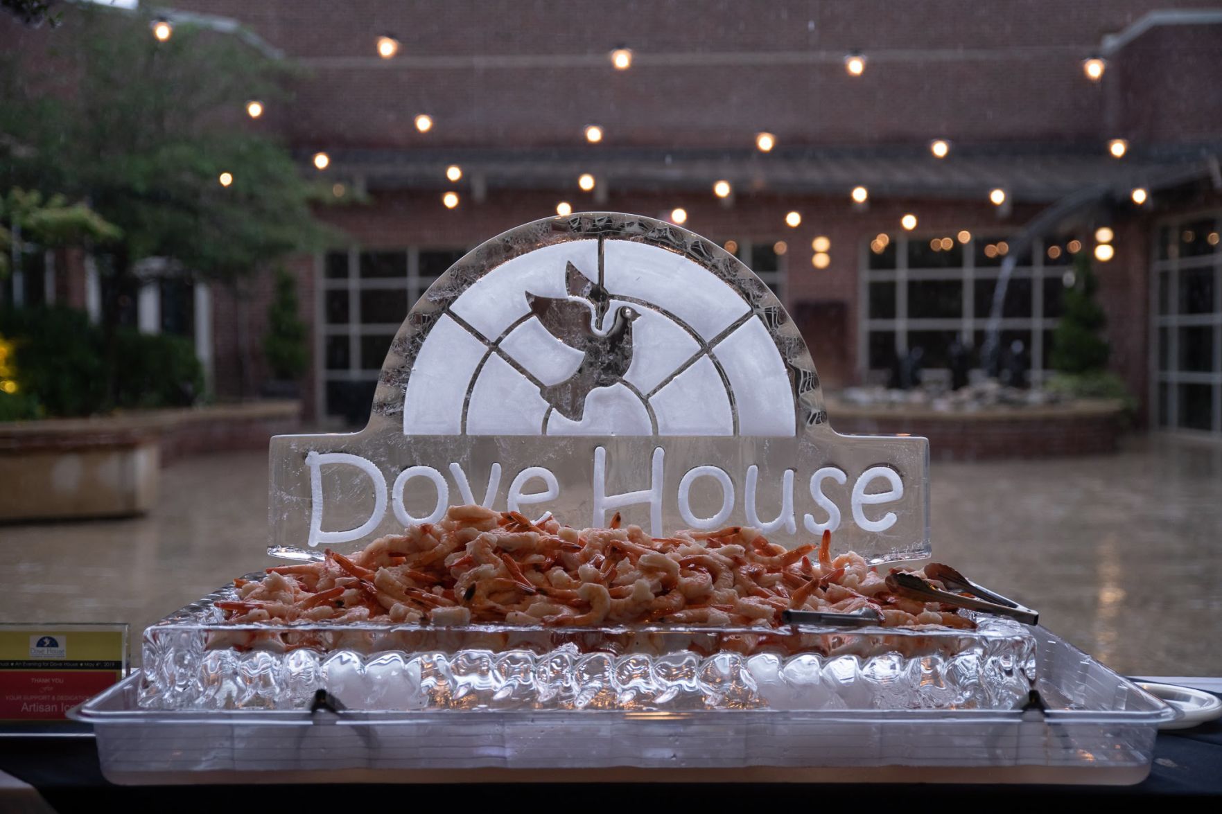 Evening for Dove House 2019 (7).jpg